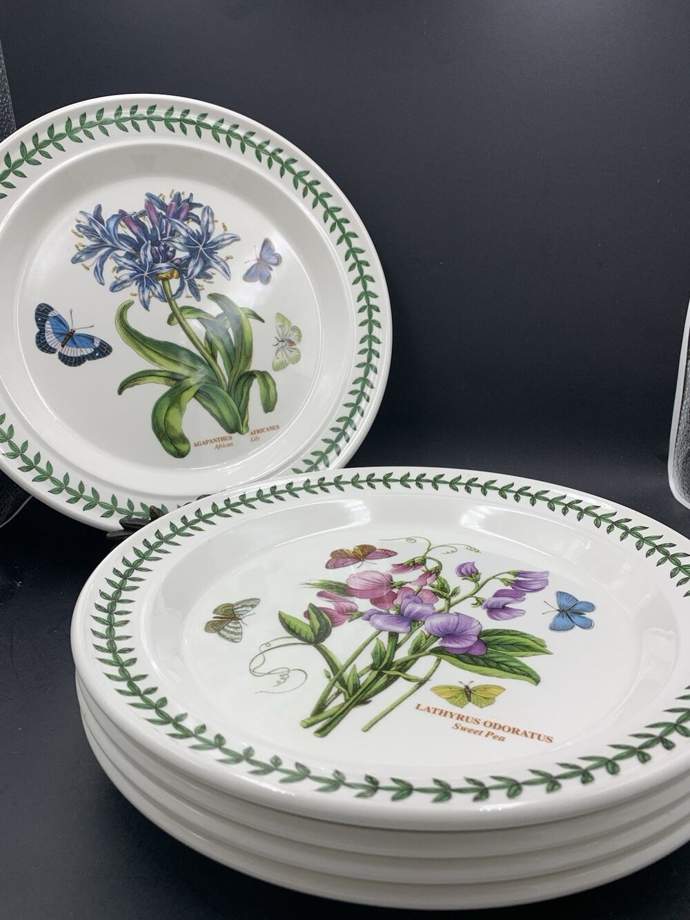 Lot of 5 Portmeirion Dinner Plates 10 1/2" Botanic Garden Pattern